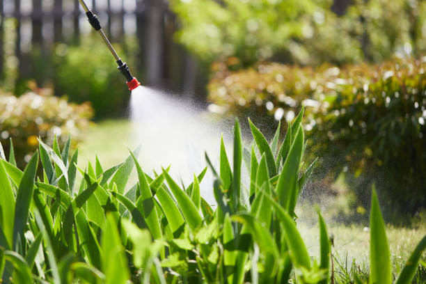 Tamper-Resistant Bait Stations for Rodents in Bedford