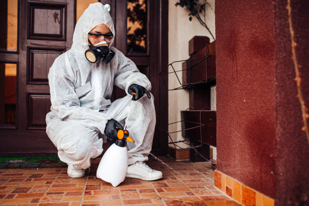 Attic and Crawl Space Rodent Treatment in Bedford